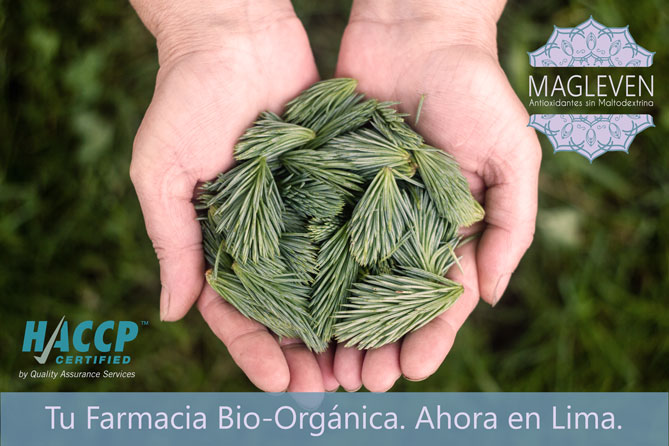 MAGLEVEN®, tu farmacia Bio-Orgánica